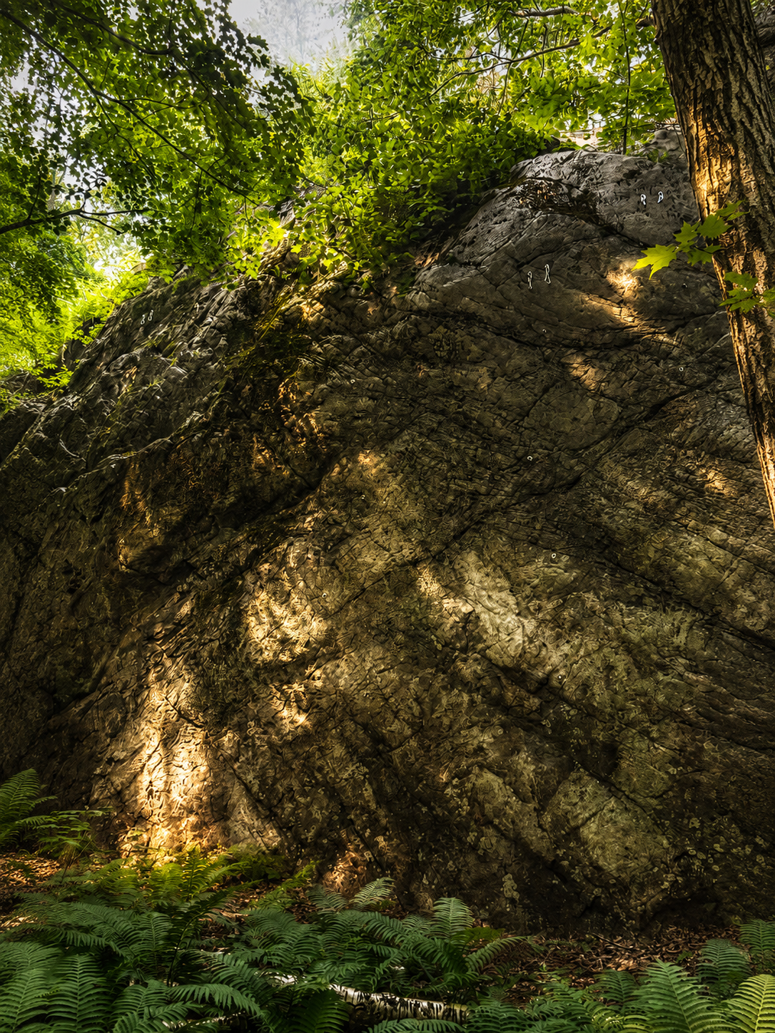 Rock climber on quartzite cliffs near Raging River Resort in Marquette County