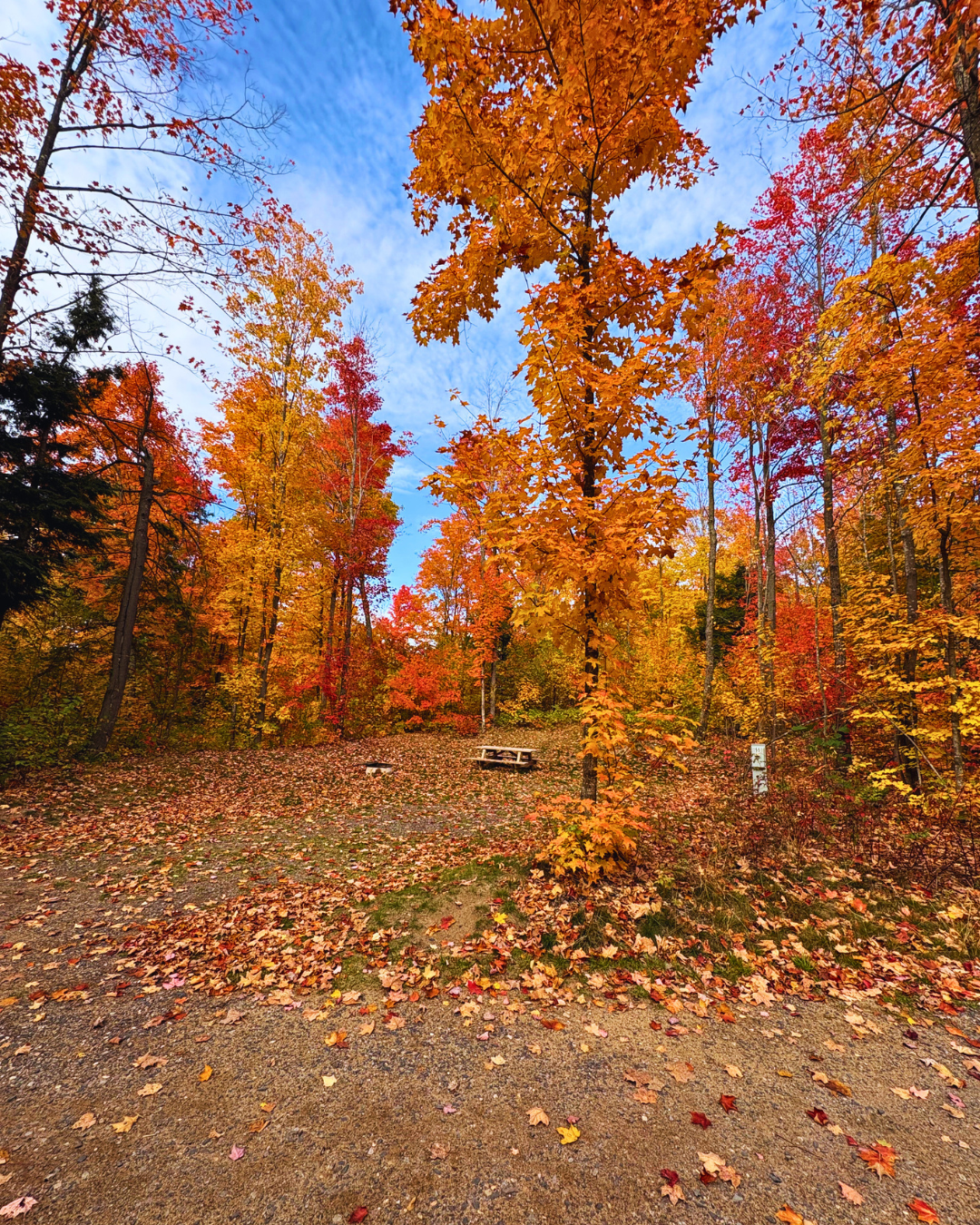 Campsite surrounded by vibrant fall foliage at Raging River Resort in Marquette, Michigan’s Upper Peninsula.