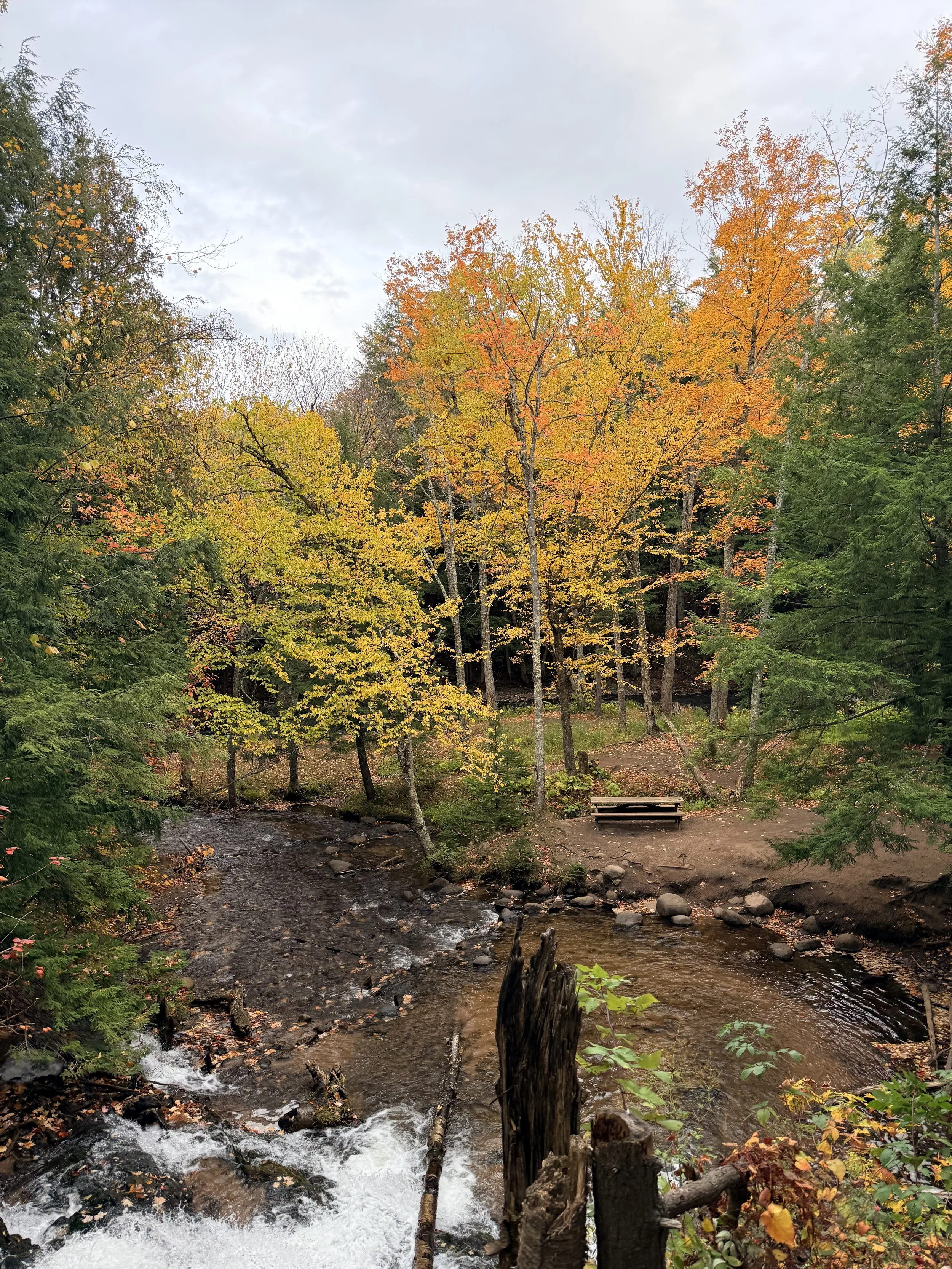 Morgan Falls surrounded by vibrant autumn foliage in Marquette, Michigan’s Upper Peninsula, a scenic waterfall destination near Raging River Resort.