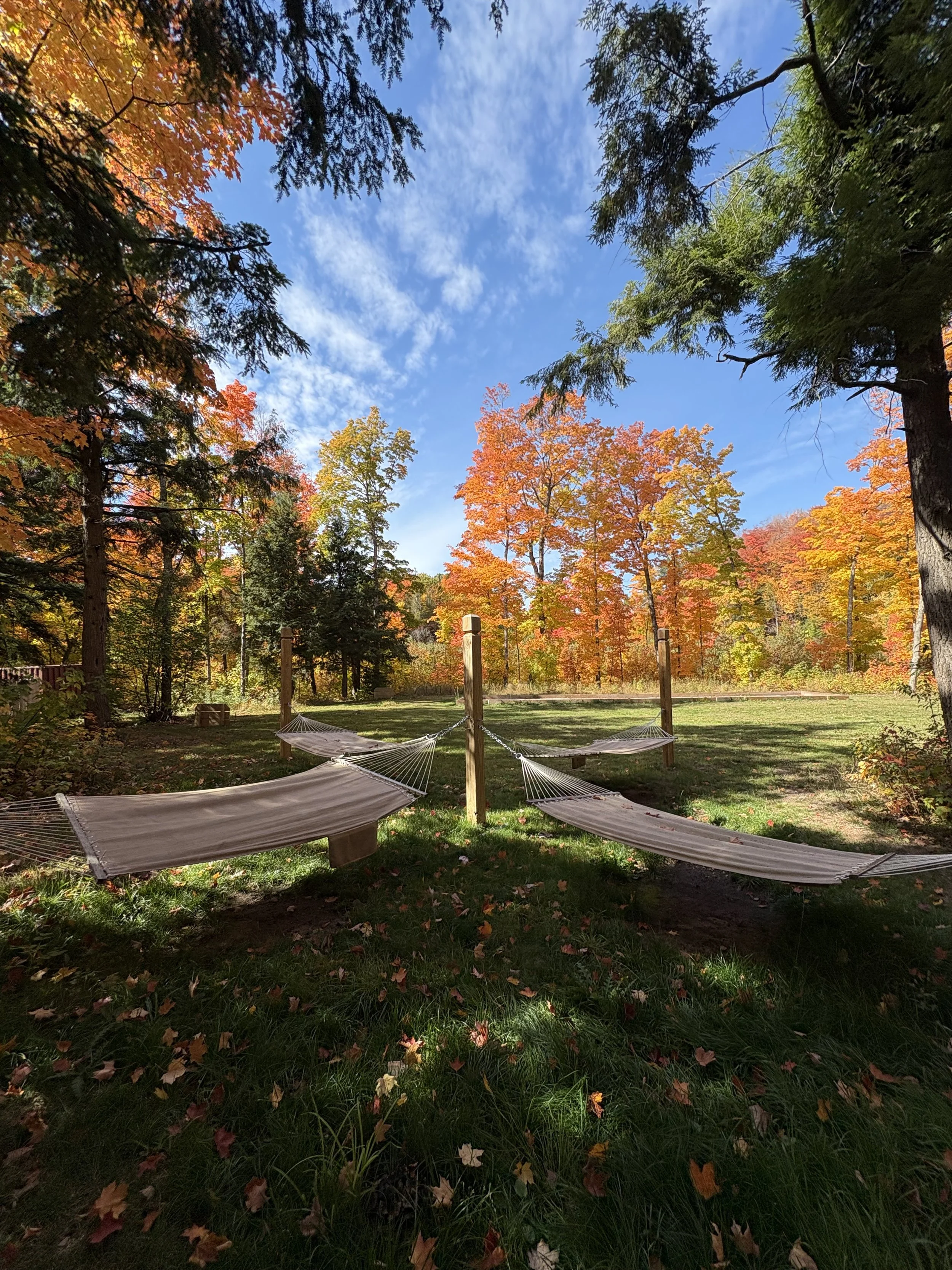 Hammocks surrounded by colorful fall foliage at Raging River Resort in Marquette, Michigan.