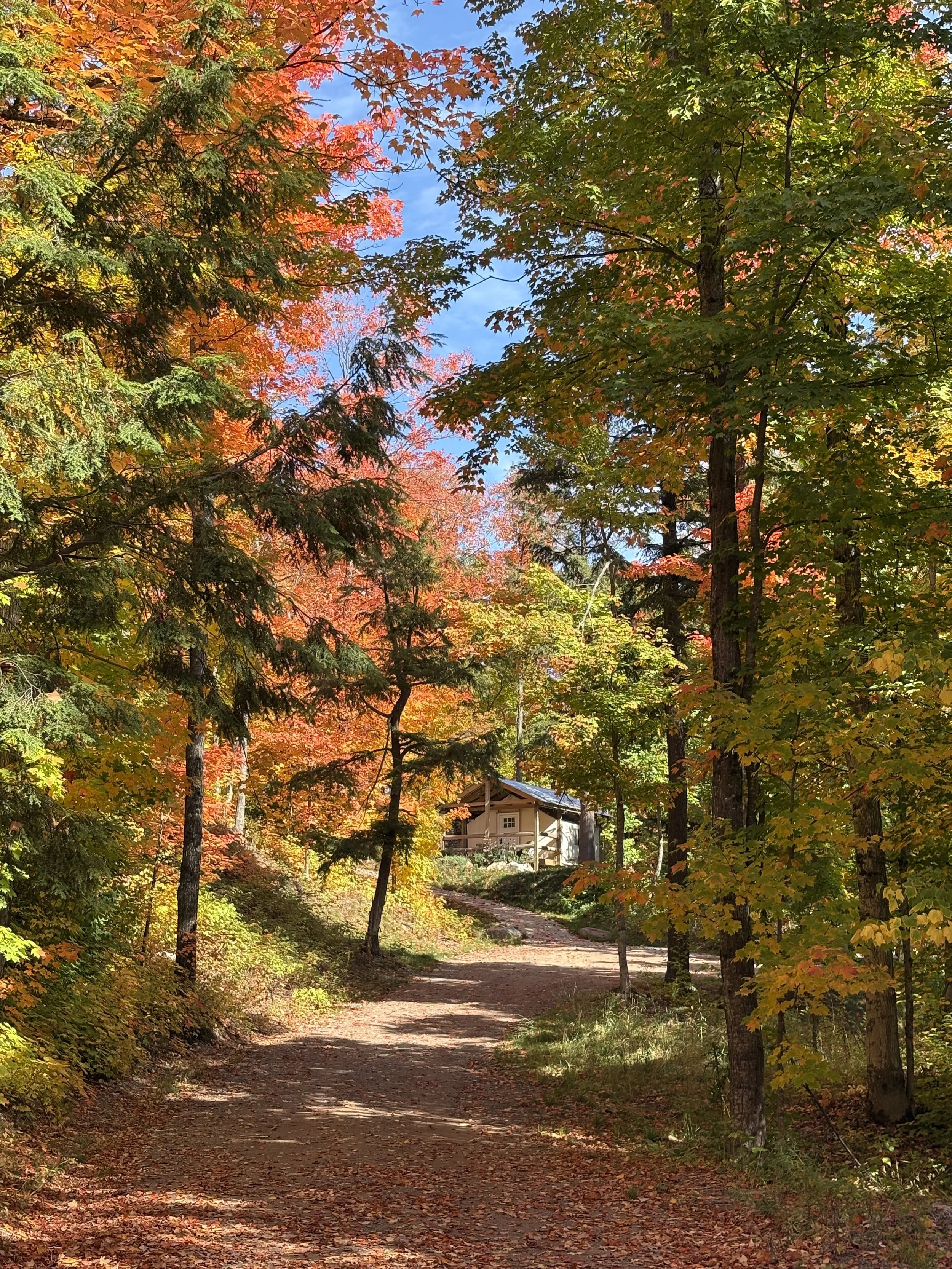 Glamping tent surrounded by colorful fall foliage at Raging River Resort in Marquette, Michigan.