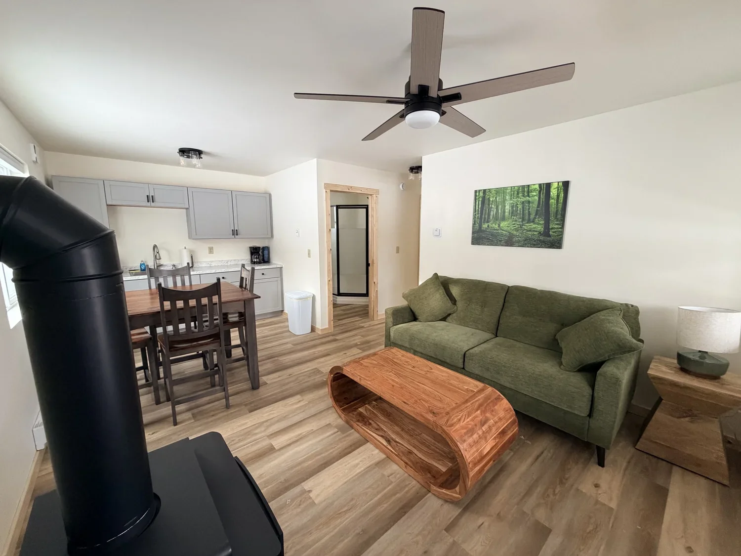 Raging River Luxury Cabin_Living Room.webp