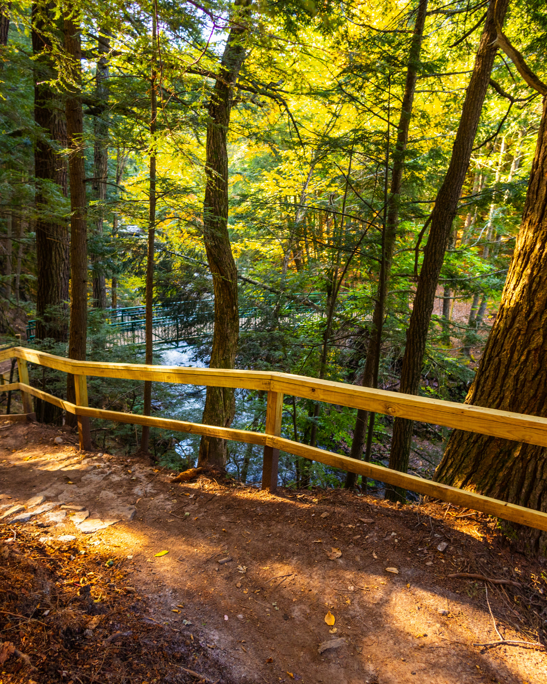 Scenic wooden trail railing surrounded by vibrant autumn foliage at Raging River Resort in Marquette, Michigan.