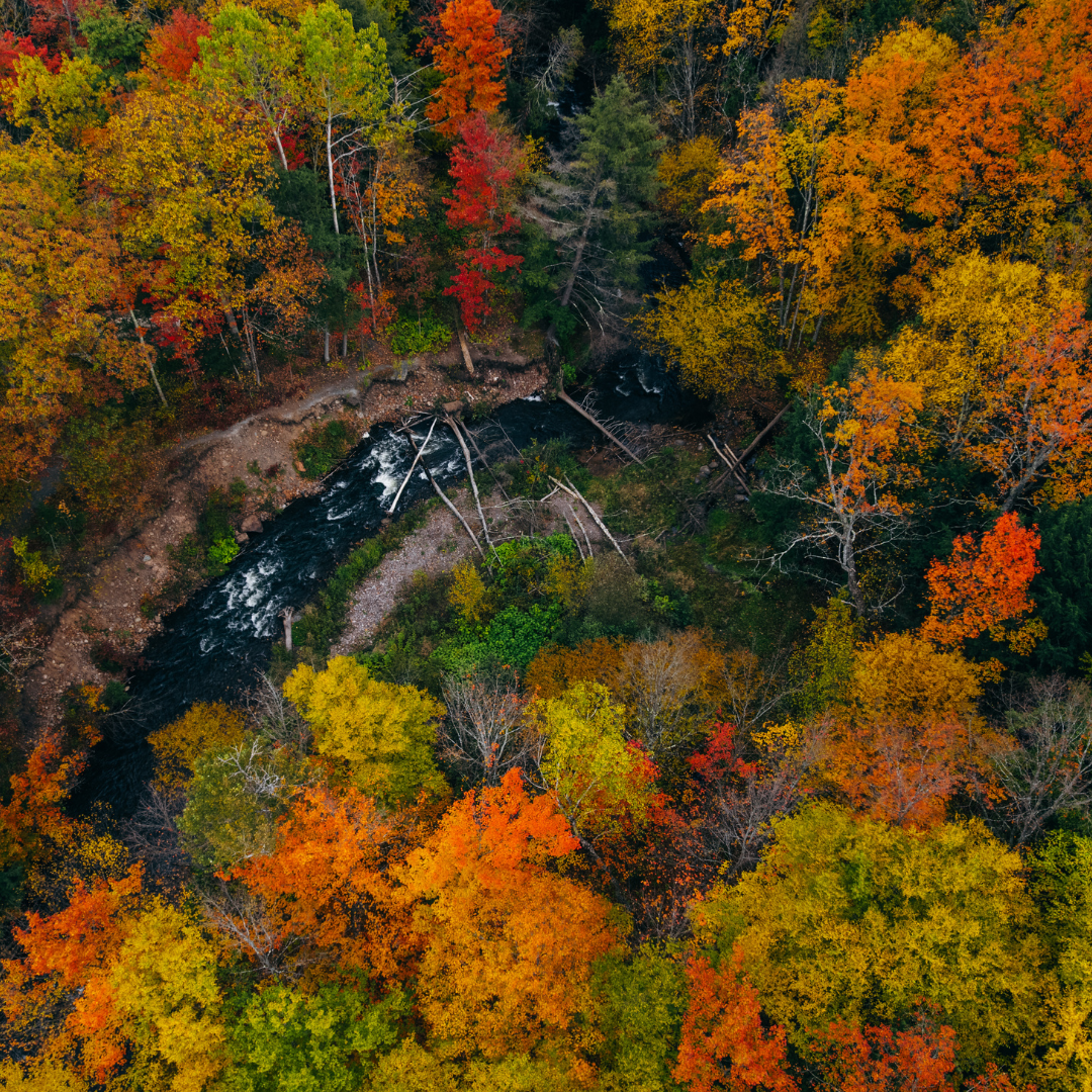 Aerial view of Carp River Falls surrounded by vibrant fall colors in Marquette, Michigan, near Raging River Resort.