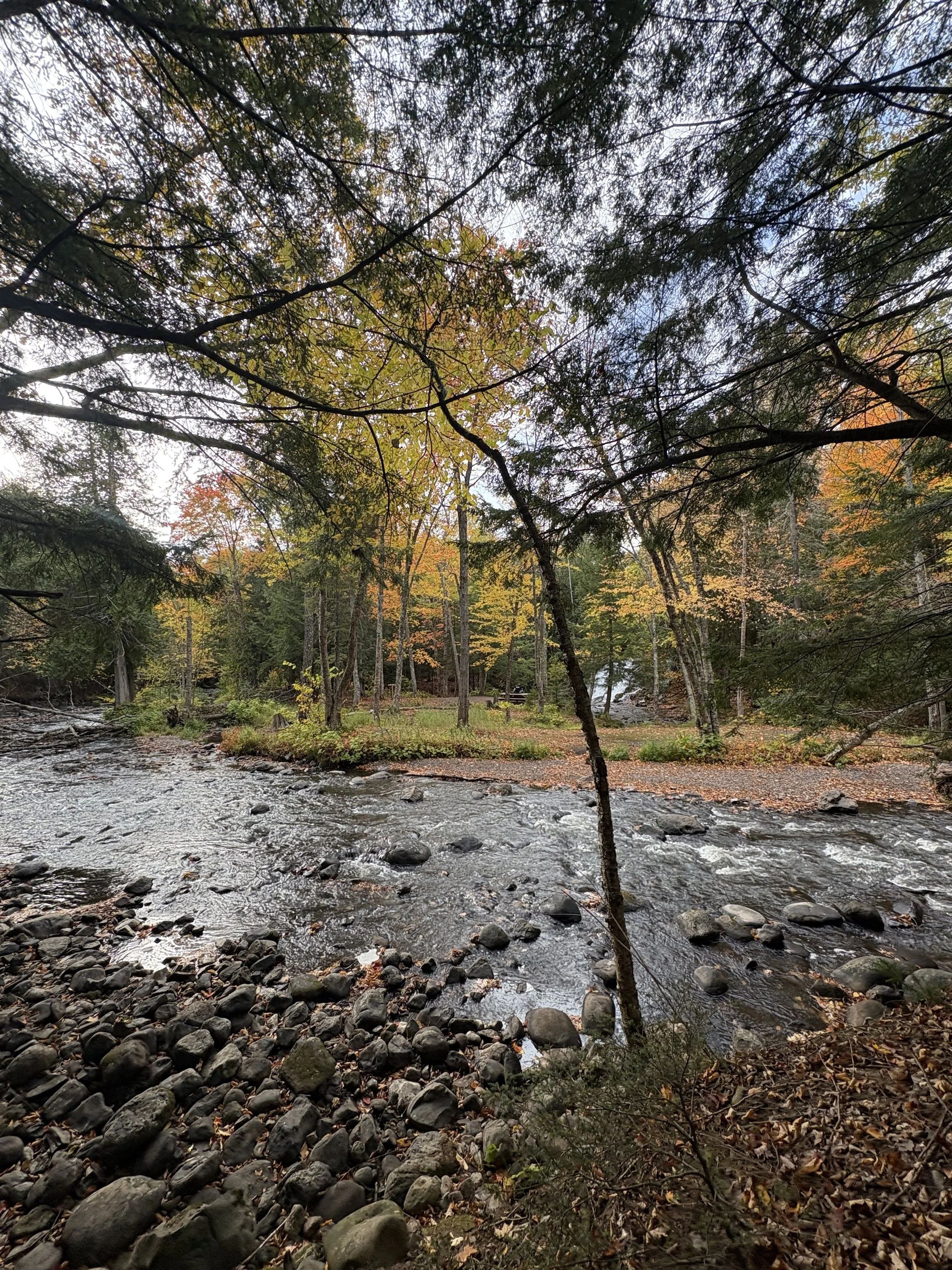 Scenic Carp River at Raging River Resort in Marquette, Michigan, surrounded by autumn trees and colorful fall foliage in Michigan’s Upper Peninsula.