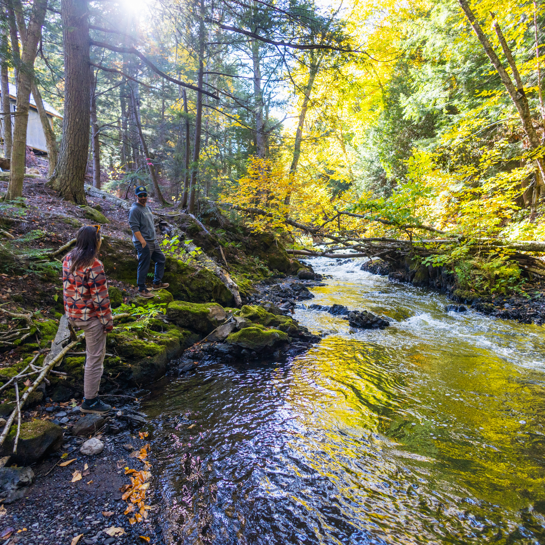 Fall colors along the Carp River at Raging River Resort in Marquette, Michigan, surrounded by vibrant autumn foliage and scenic walking trails.