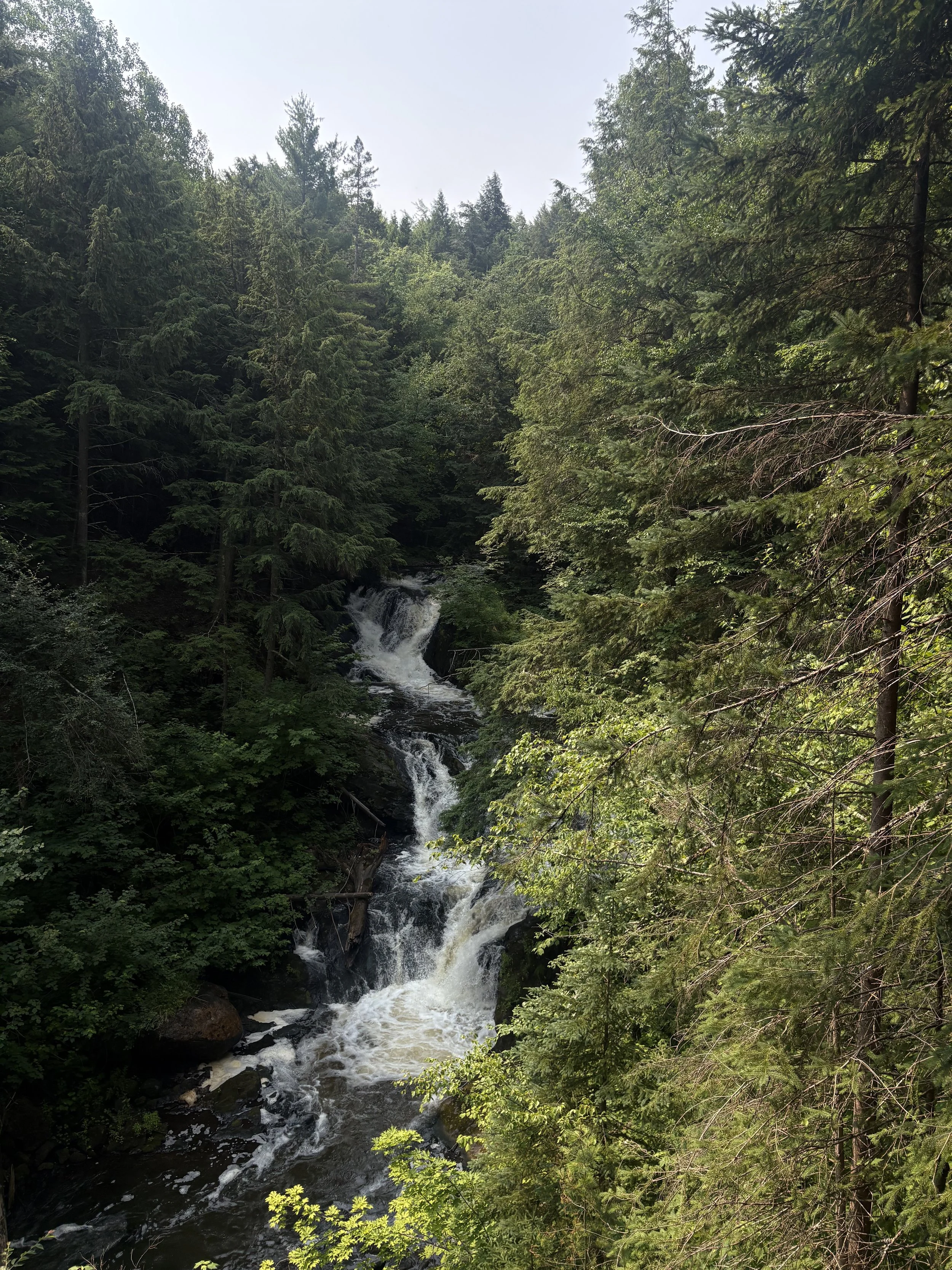 raging-river-resort-waterfall-carp-river-marquette-mi.jpg.jpeg
