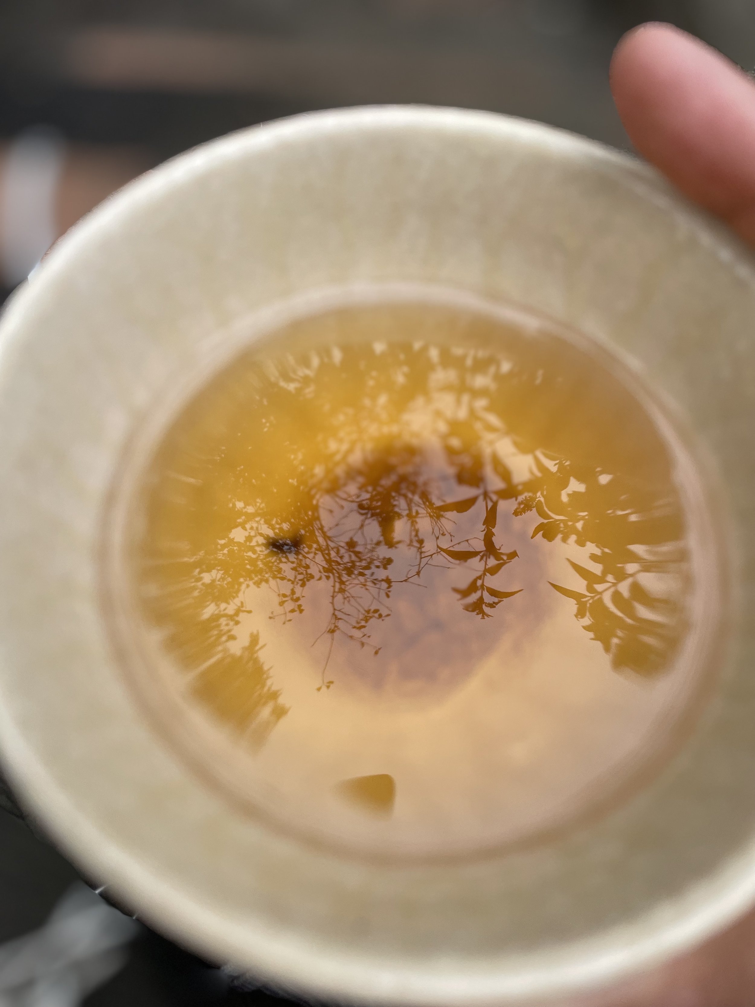 REHYDRATE~ 21 DAY WHOLISTIC JOURNEY