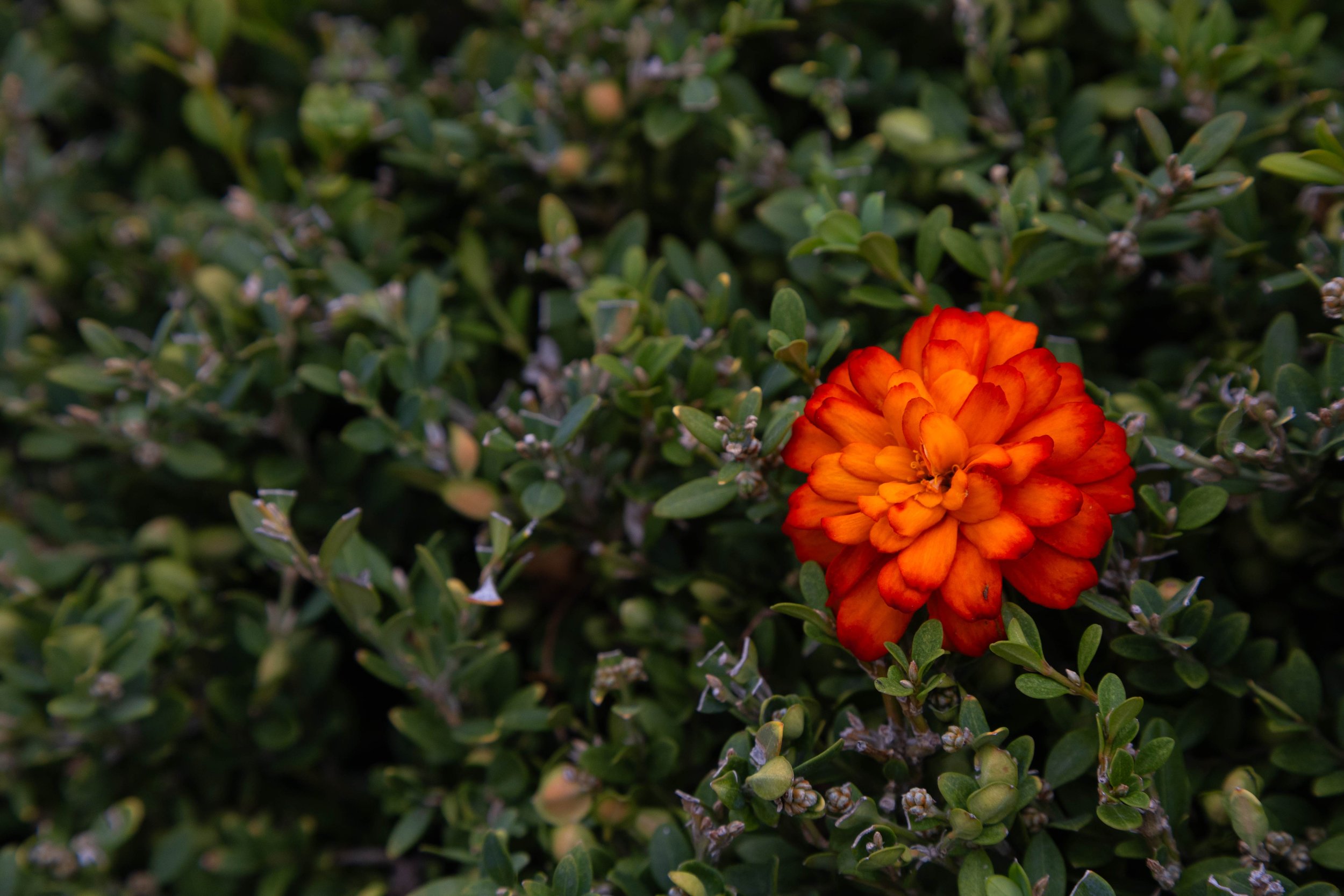 ExtraPhotos-01.jpg