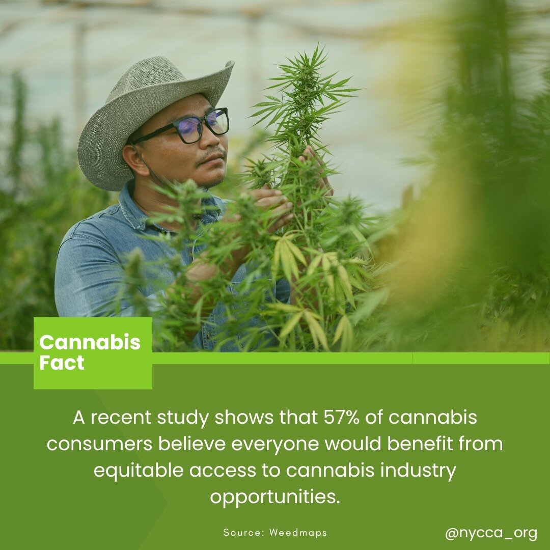 Access to cannabis industry opportunities and equal opportunity is key when discussing cannabis legalization with the public.

#cannabiscommunity #cannabis #cannabisculture #thc #marijuana #cannabissociety #weedstagram #indica #medicalmarijuana #sati