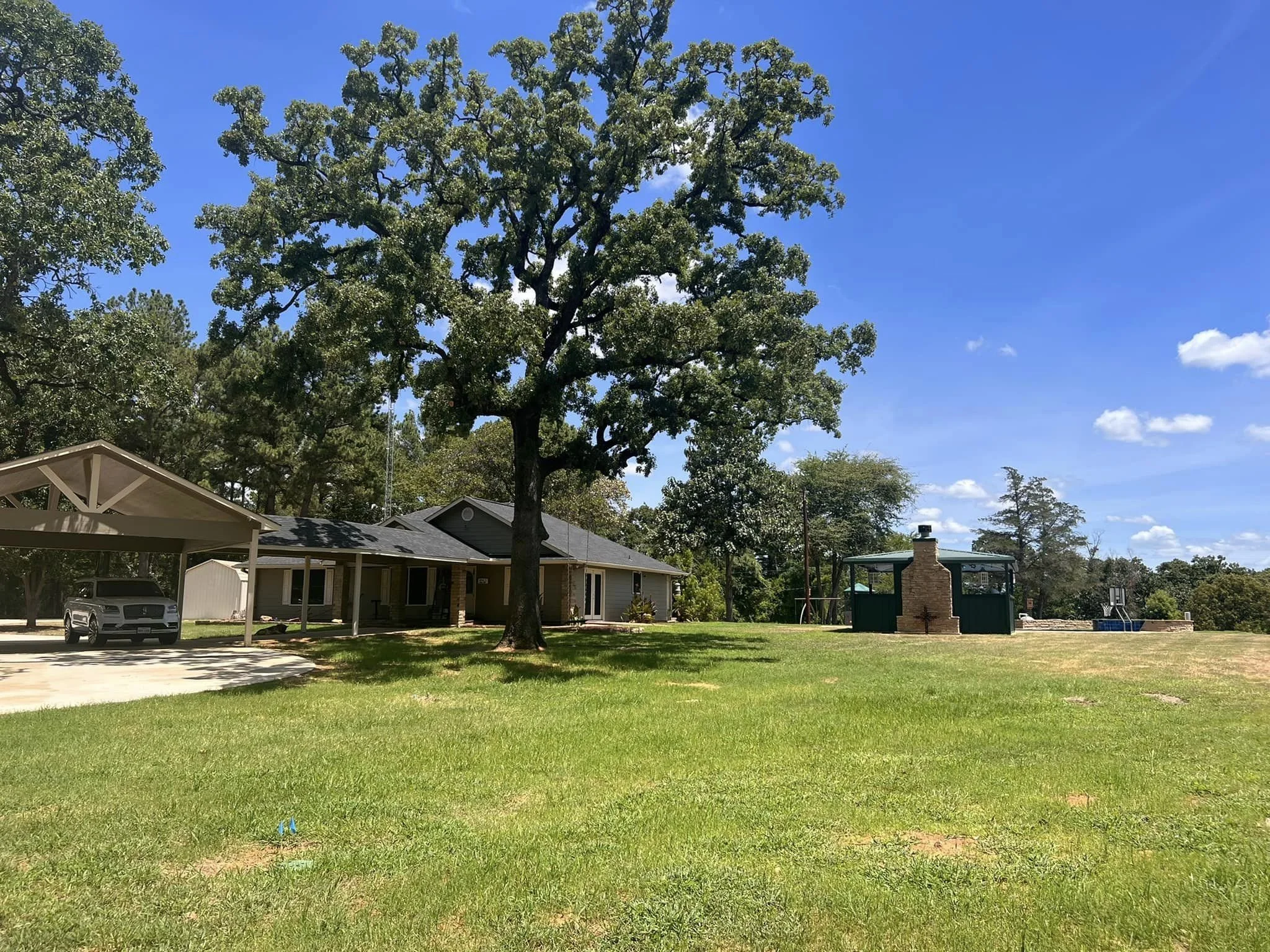 Colleague's Home 10 Day Progress