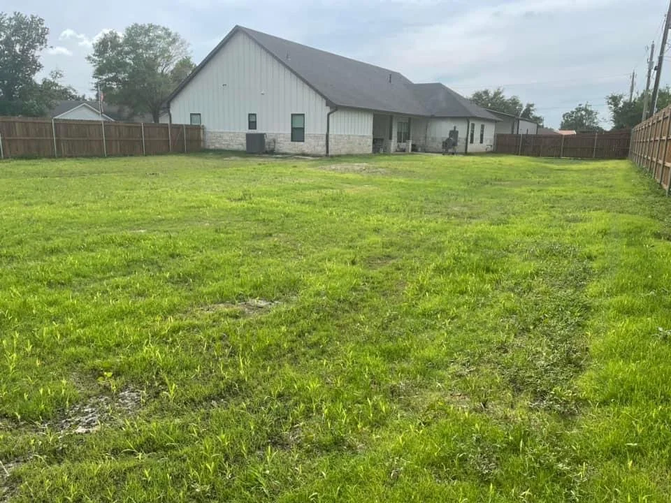 New Build Back Yard - After