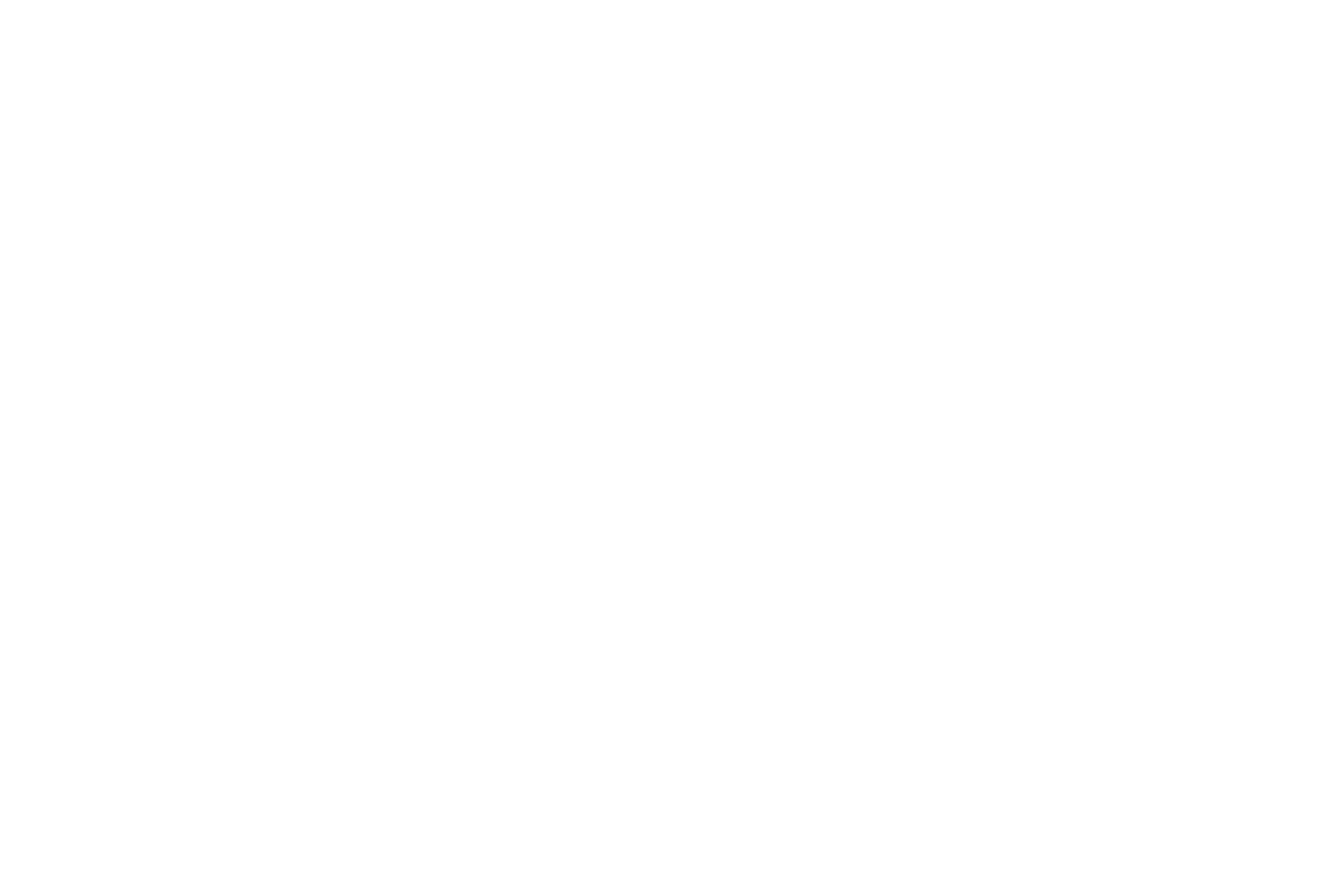 Black background with white text that reads "MANEBRidal"