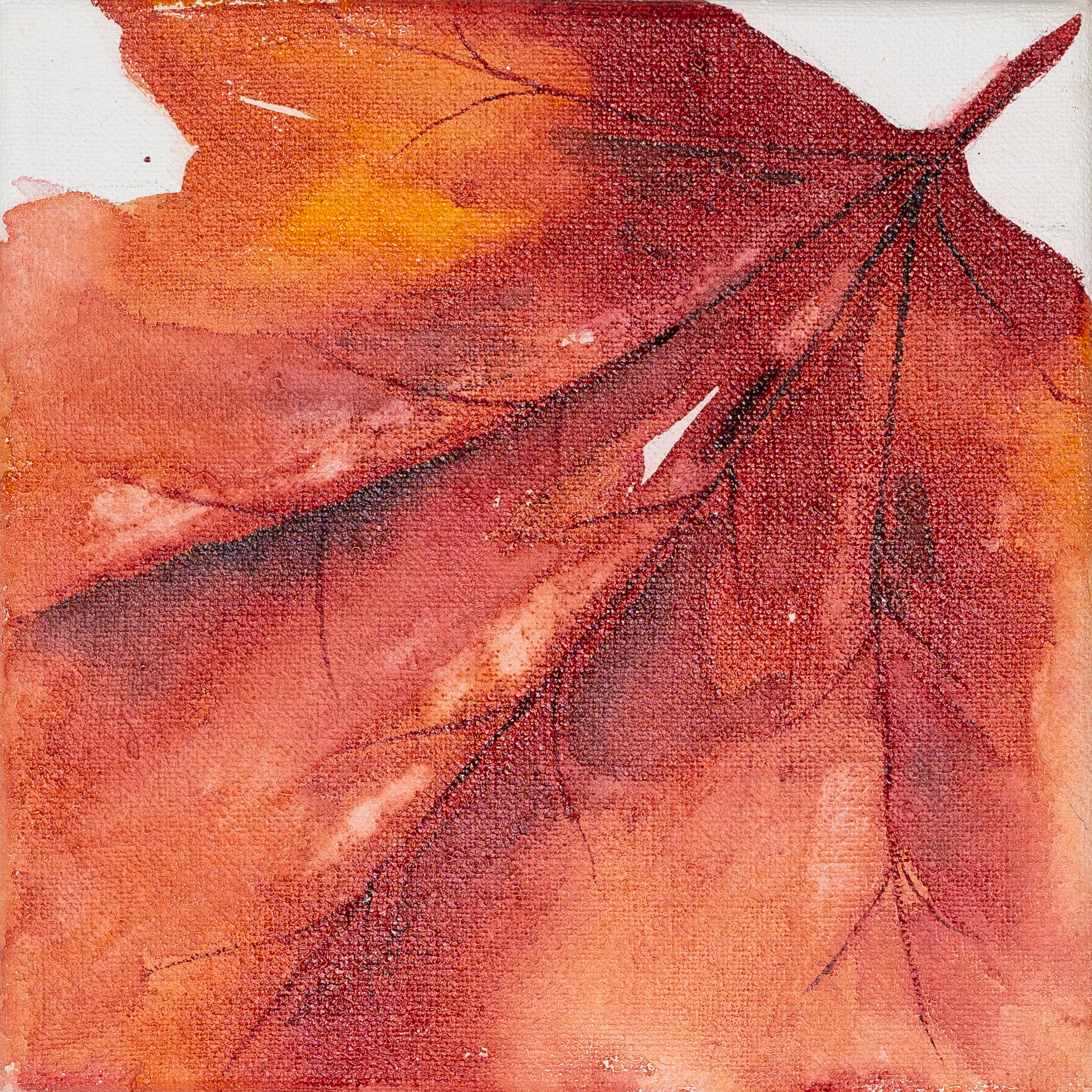 Web_2023_Inge_Baiatu_Ahorn_18.png