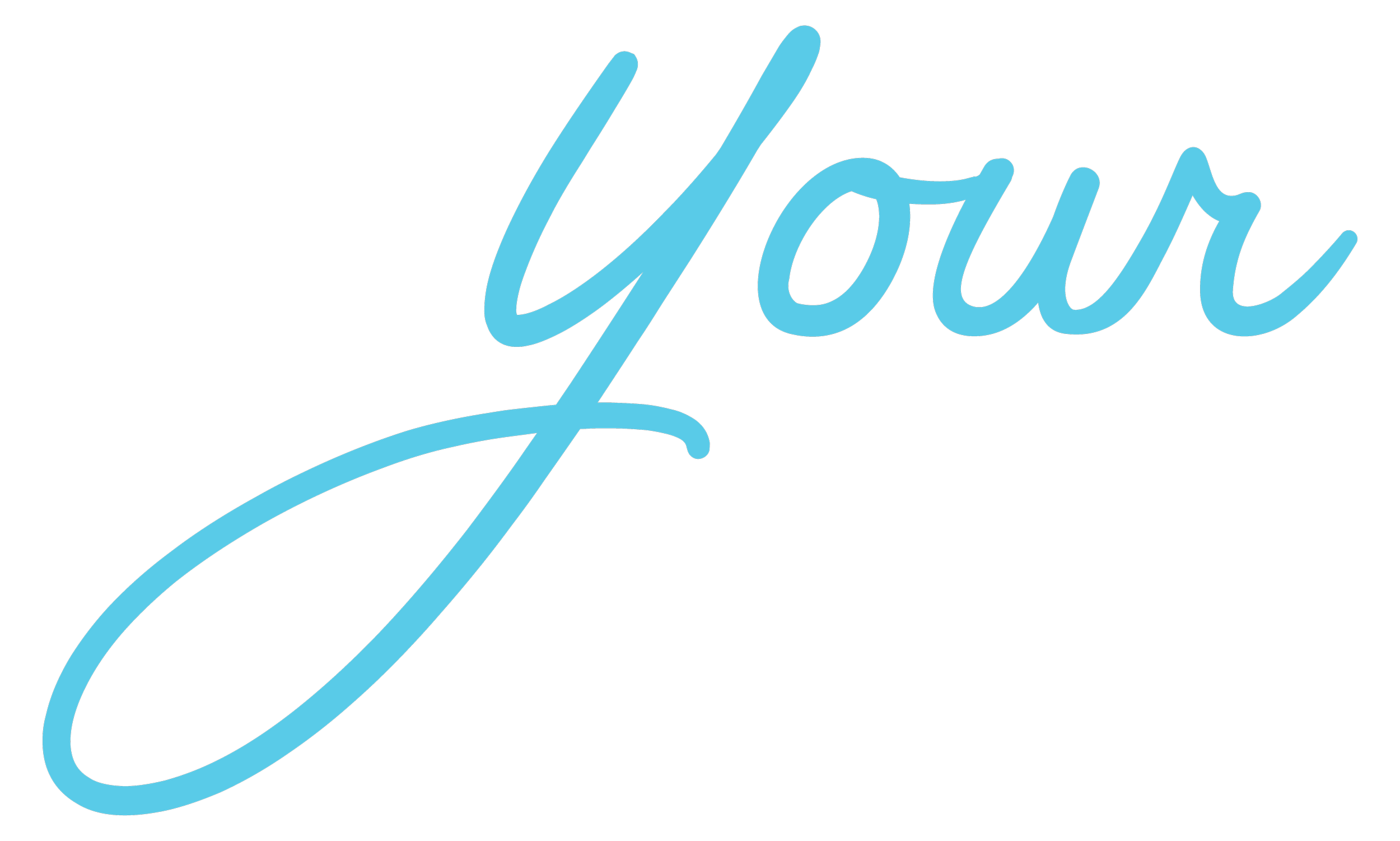 Care Teams — Your Health Organization