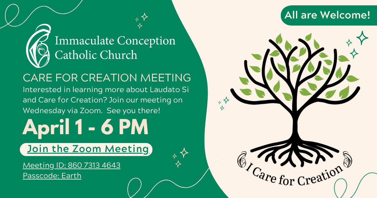 Care for Creation Meetings Now in Zoom, too! Click on image to view instructions and agenda to join meeting. 