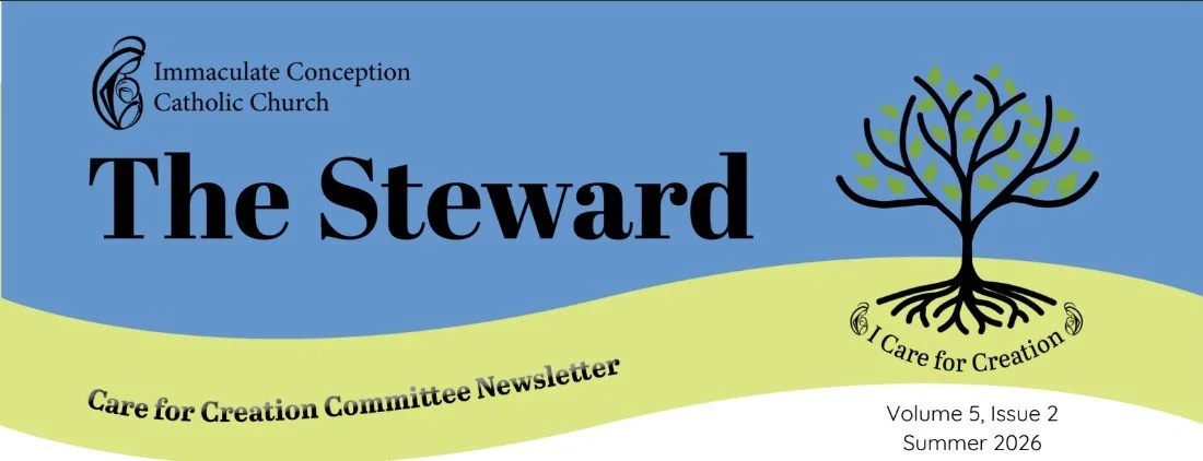 Click here to read the Summer Issue