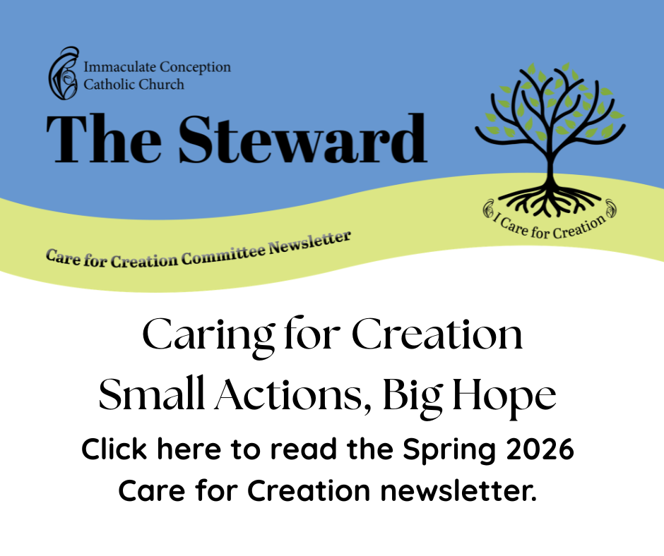 ICC C4C newsletter FB graphic.png