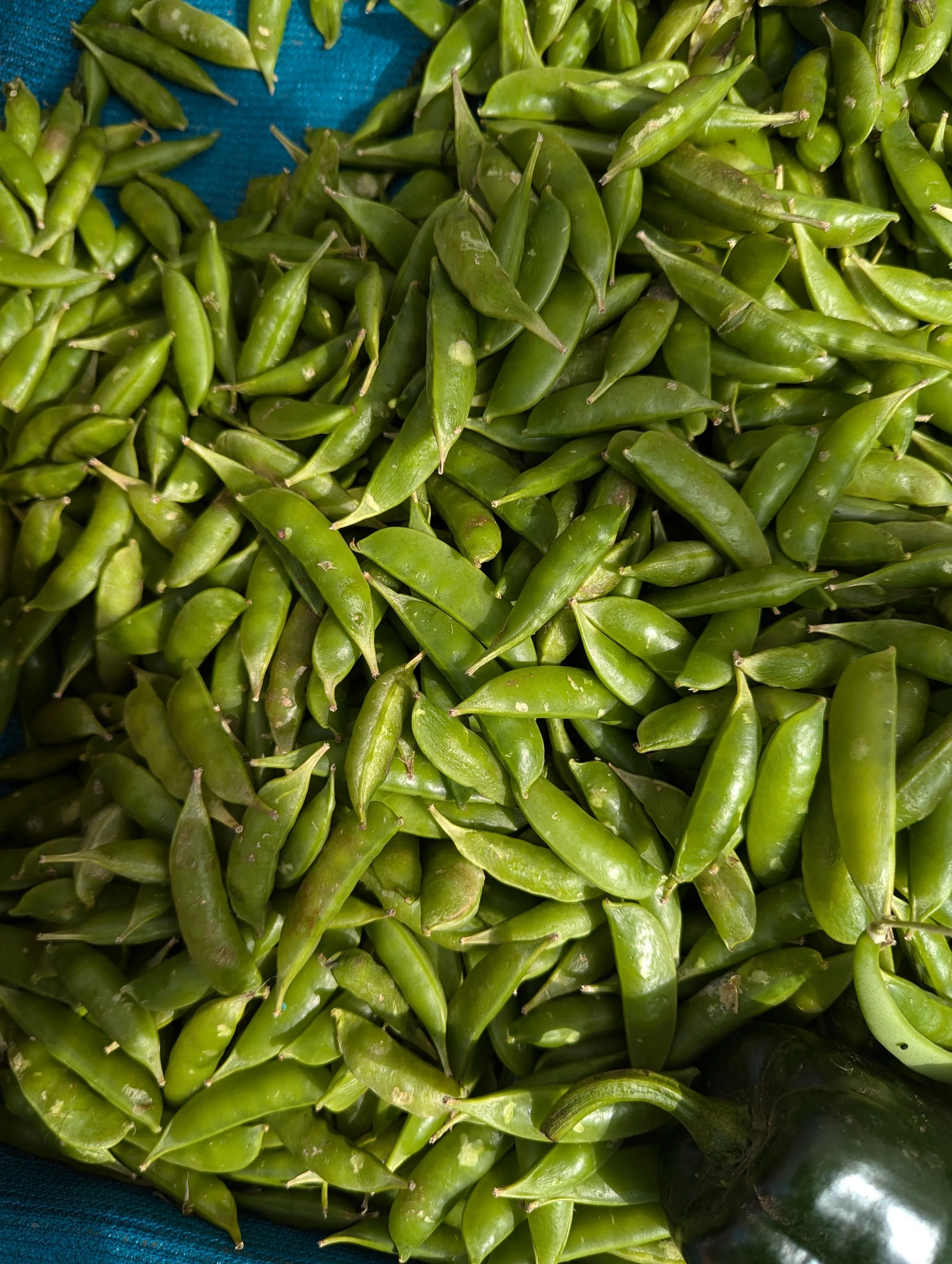 Little Tokyo Certified Farmers' Market