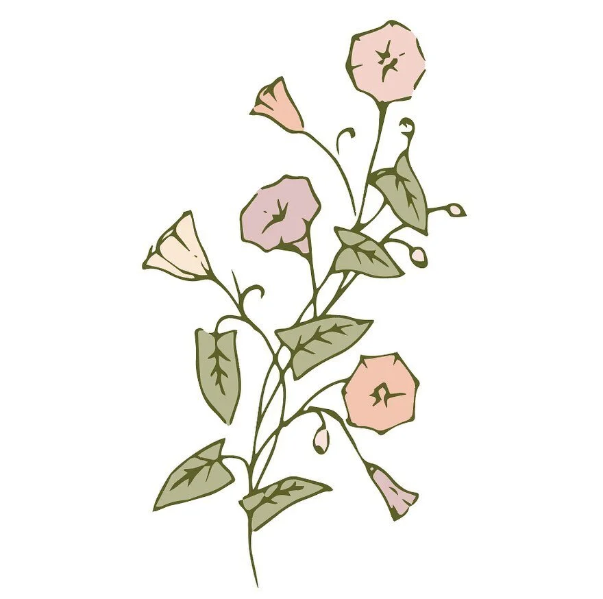 A couple more delicate doodles