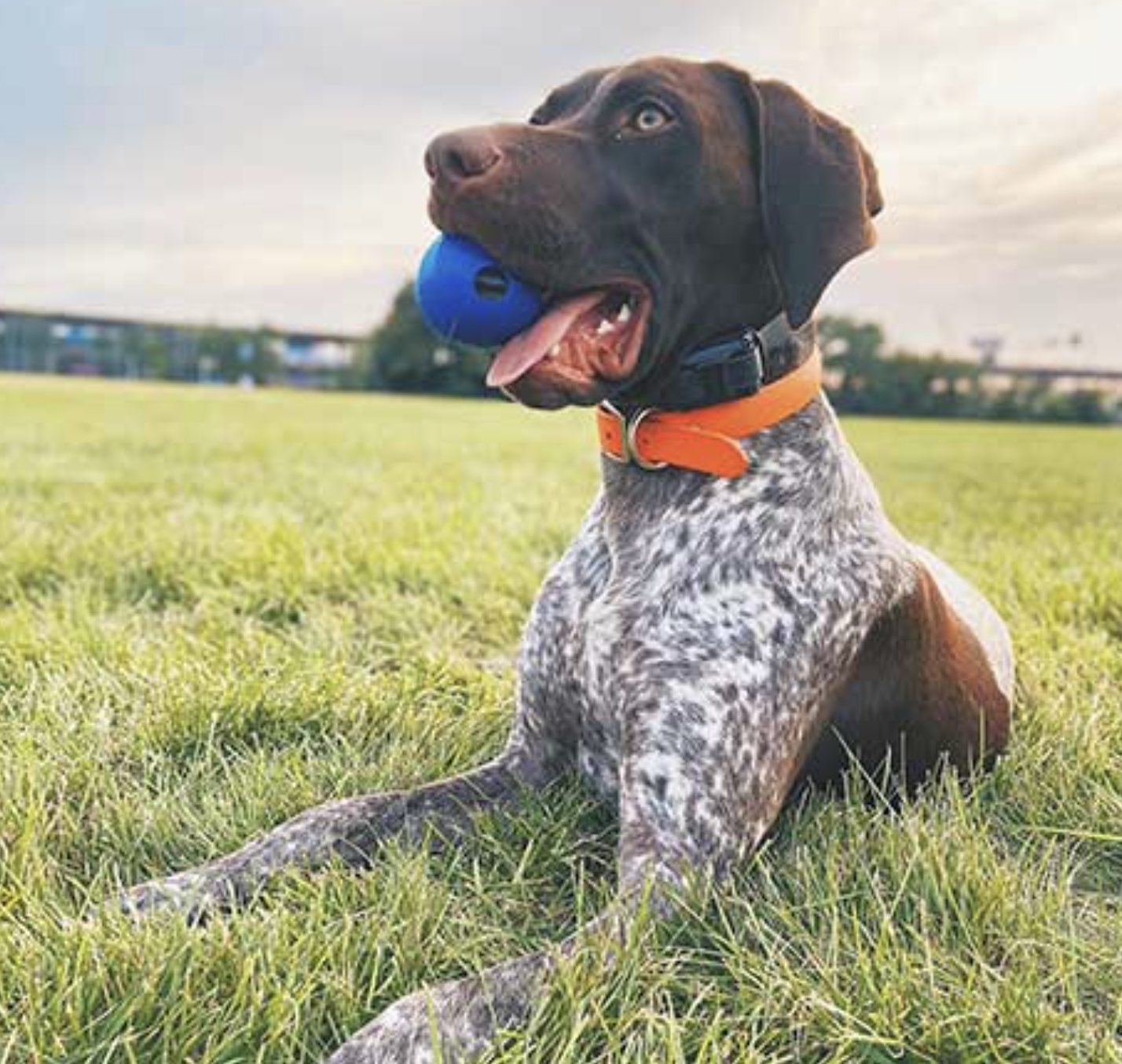 Screenshot 2026-03-03 at 2.27.37 PM.png