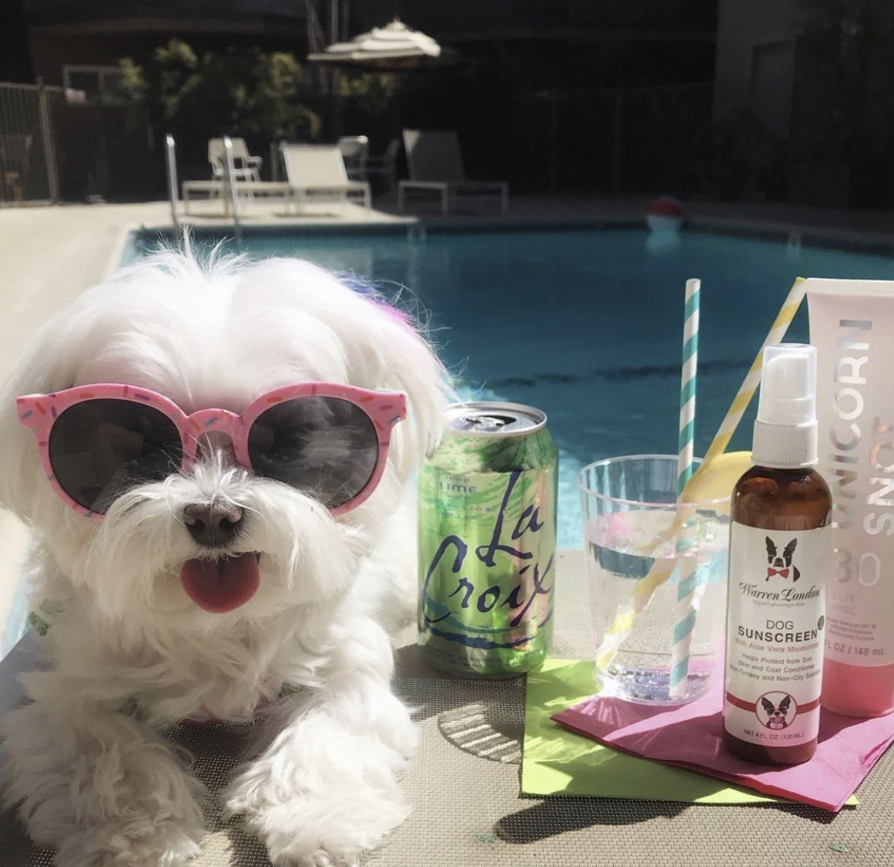 Screenshot 2026-03-03 at 12.18.53 PM.png