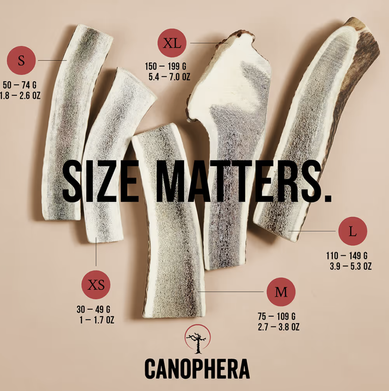 Screenshot 2026-03-03 at 3.49.14 PM.png