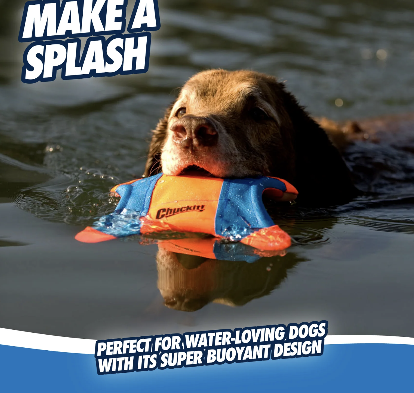 Screenshot 2026-03-03 at 2.24.09 PM.png