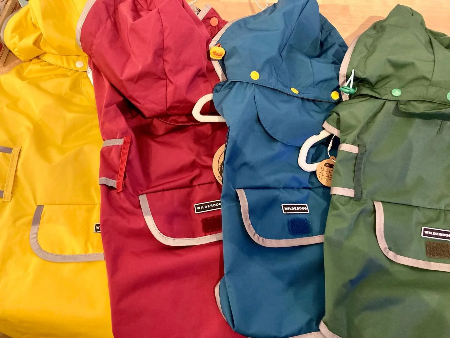 It&rsquo;s been raining cats and dogs in Northern Michigan! We have Wilderdog raincoats, they&rsquo;re lightweight, breathable, have hoods, and come in the best colors! Stay dry and safe out there! ☔️ 

#dogsofinstagram #northernmichigan #elkrapids #