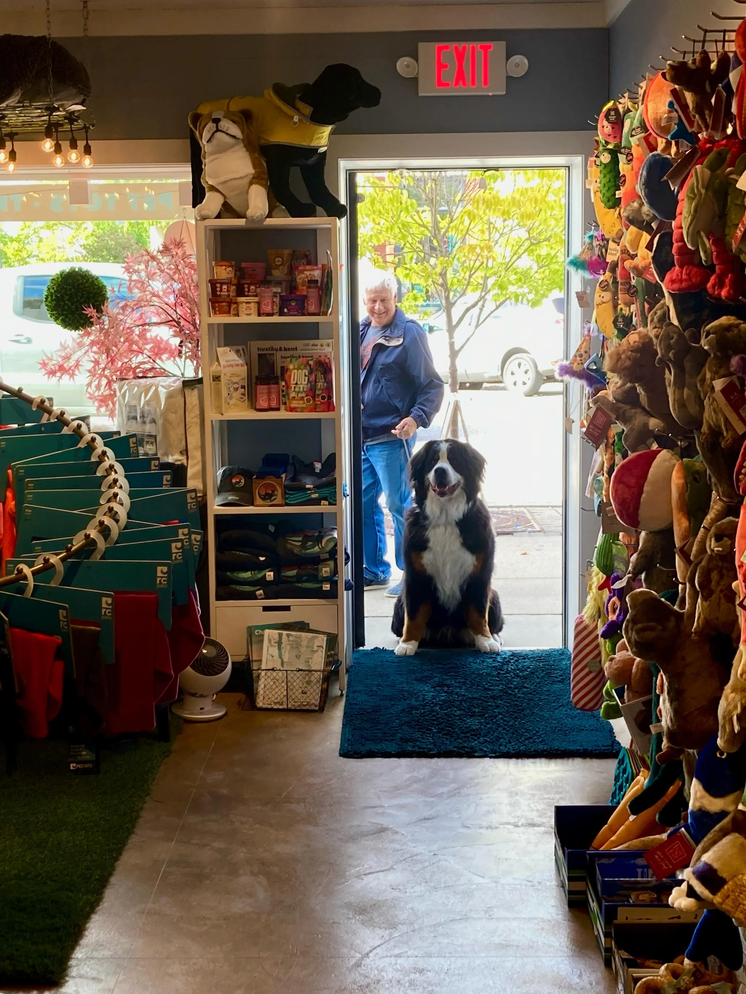 Look at this good boi!!! Chester knows he can&rsquo;t walk by without a treat!