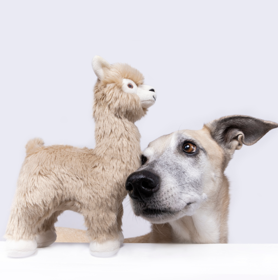 Screenshot 2026-03-02 at 2.51.11 PM.png