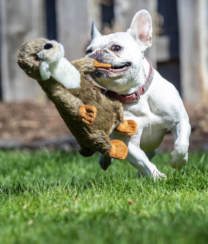 Screenshot 2026-03-02 at 2.57.59 PM.png