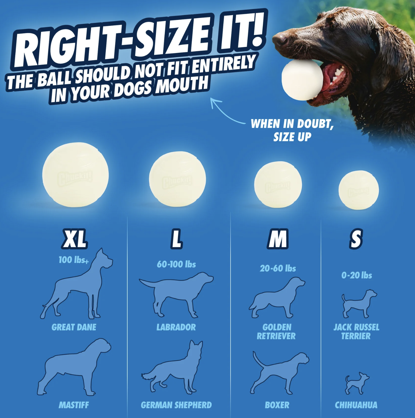 Screenshot 2026-03-03 at 2.06.58 PM.png