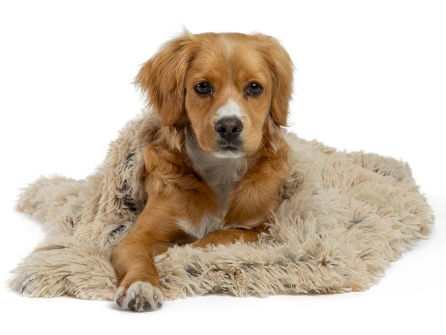 Best Friends by Sheri beds and blankets