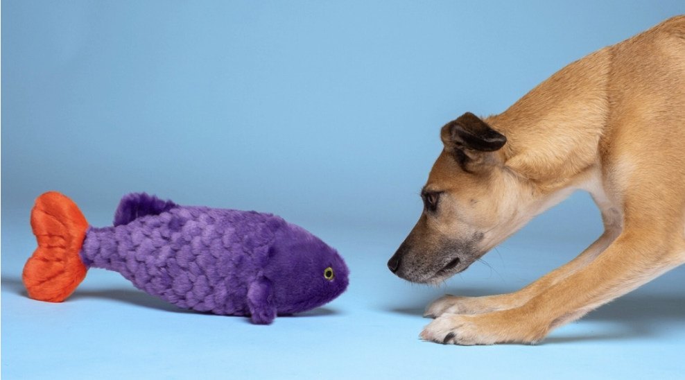 Screenshot 2026-03-02 at 3.19.49 PM.png