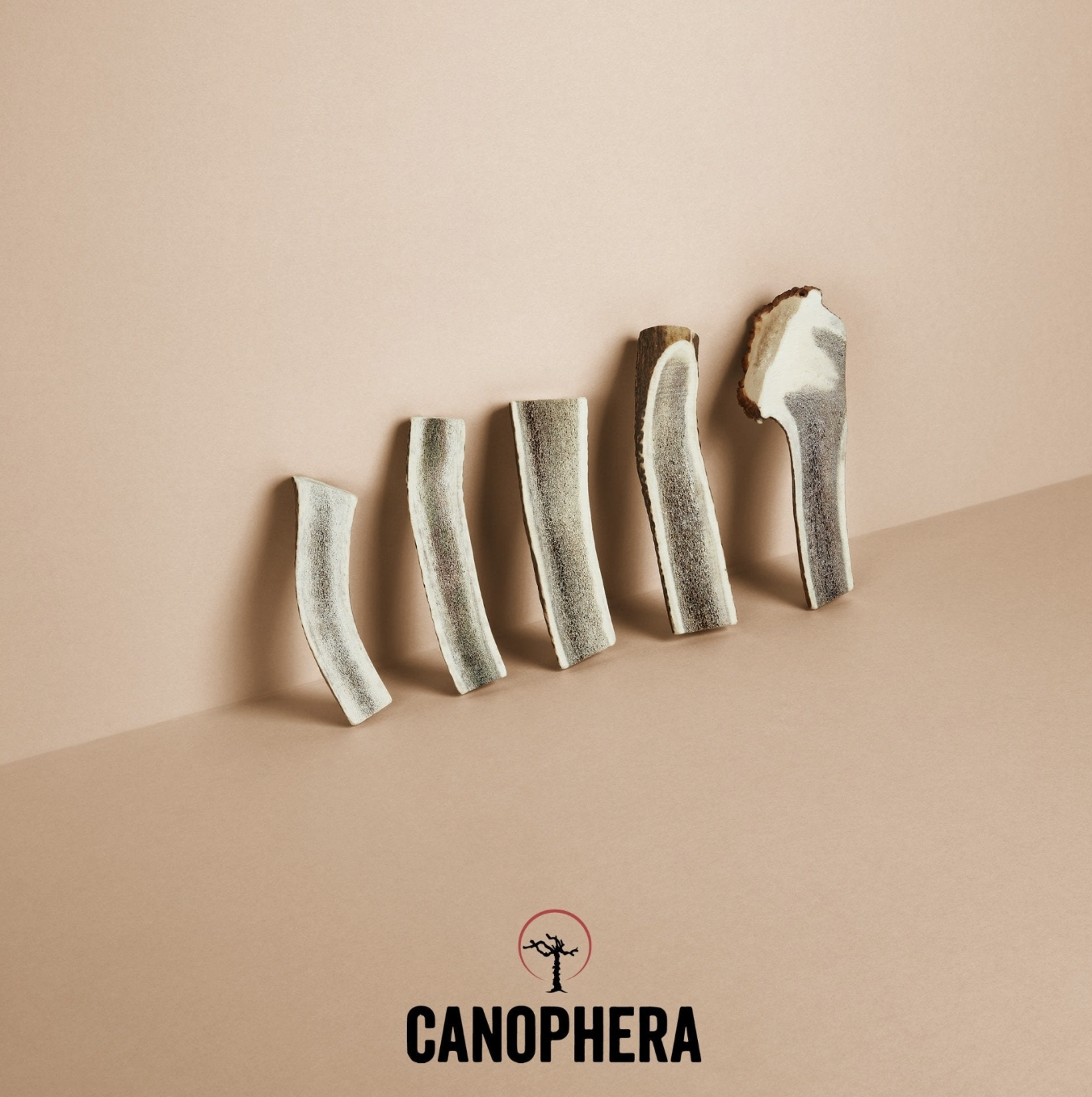 Canophera Red Deer Antler Splits
