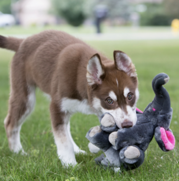 Screenshot 2026-03-02 at 3.10.23 PM.png