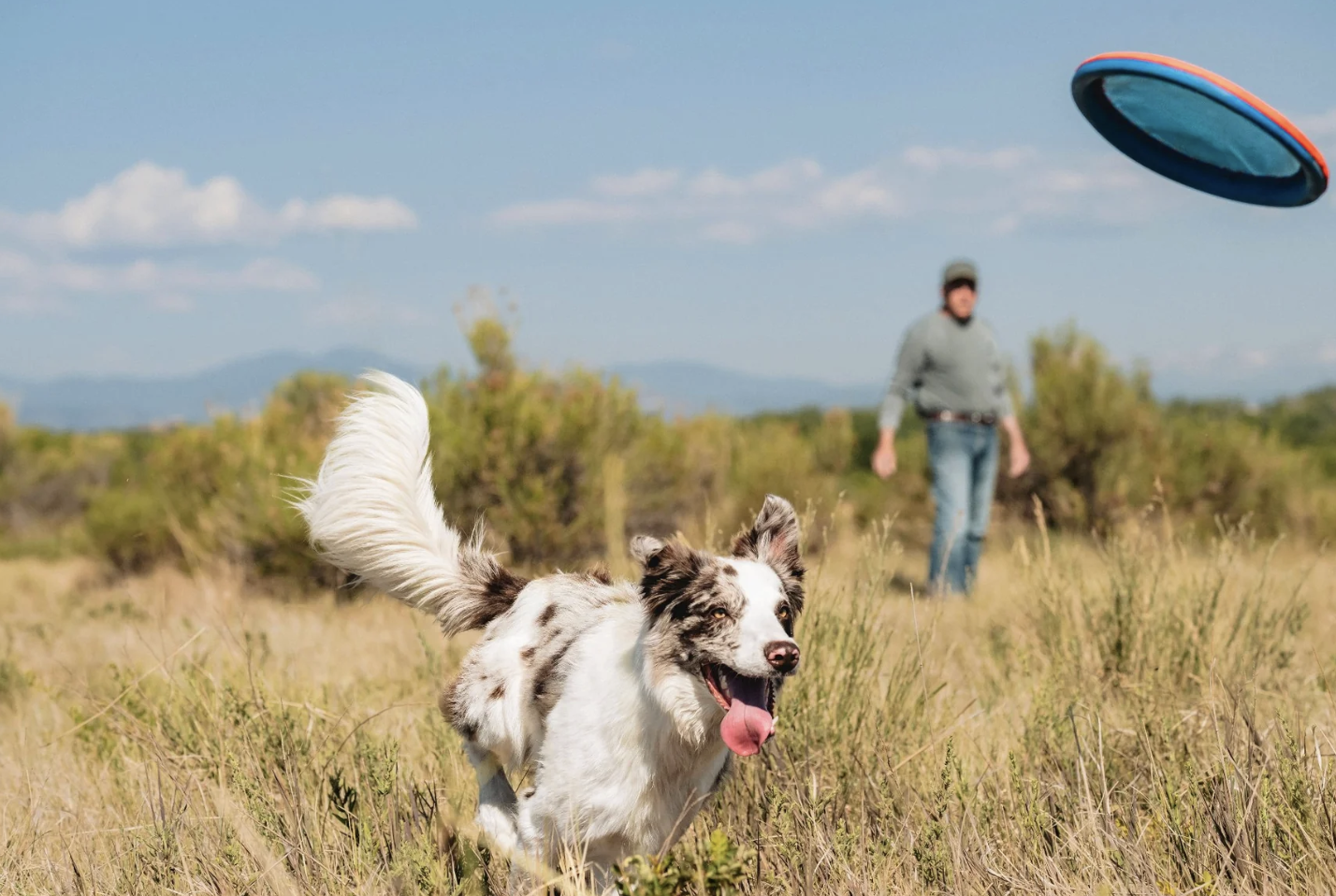 Screenshot 2026-03-03 at 2.16.53 PM.png