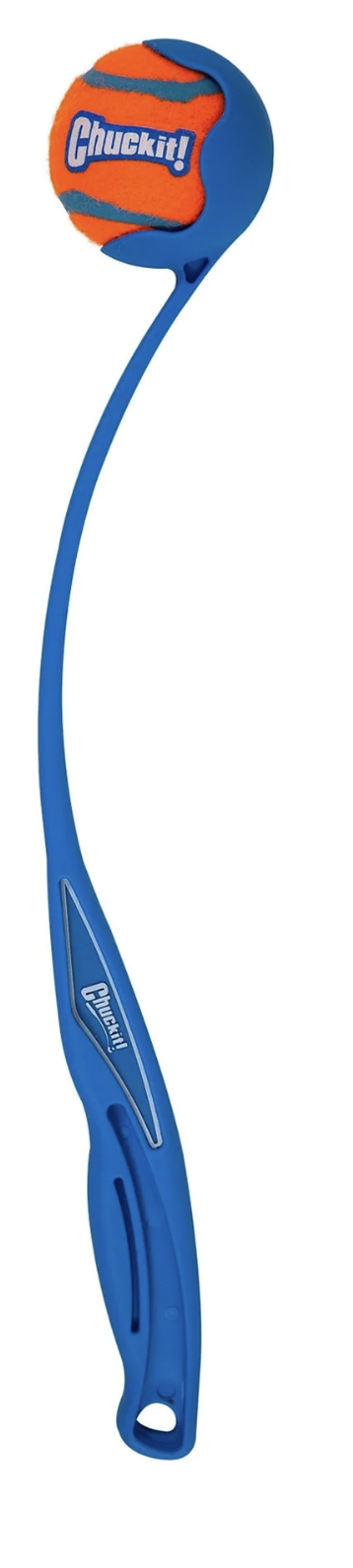 Screenshot 2026-03-03 at 2.12.41 PM.png