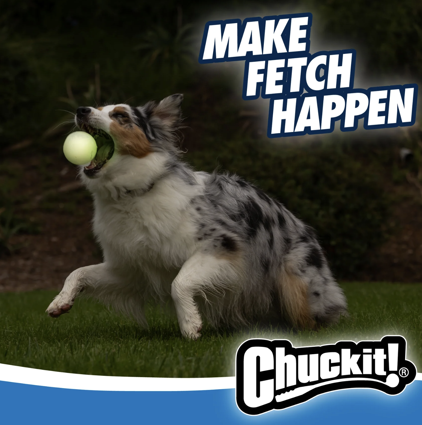 Screenshot 2026-03-03 at 2.07.06 PM.png