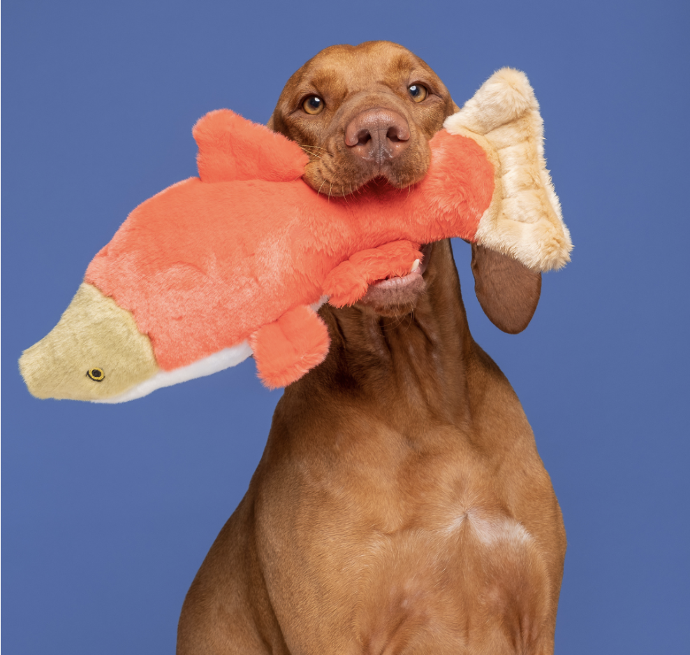 Screenshot 2026-03-02 at 3.21.16 PM.png