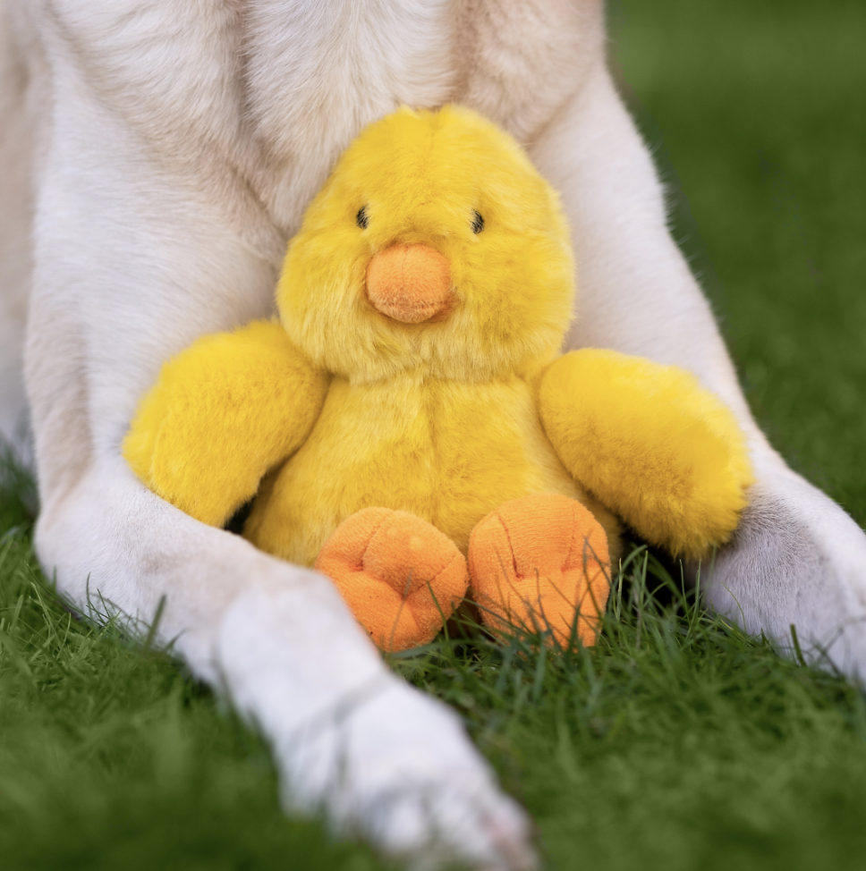 Screenshot 2026-03-02 at 2.54.54 PM.png