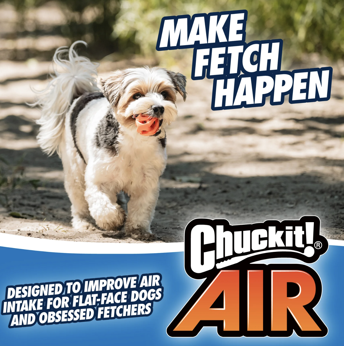 Screenshot 2026-03-03 at 2.20.31 PM.png