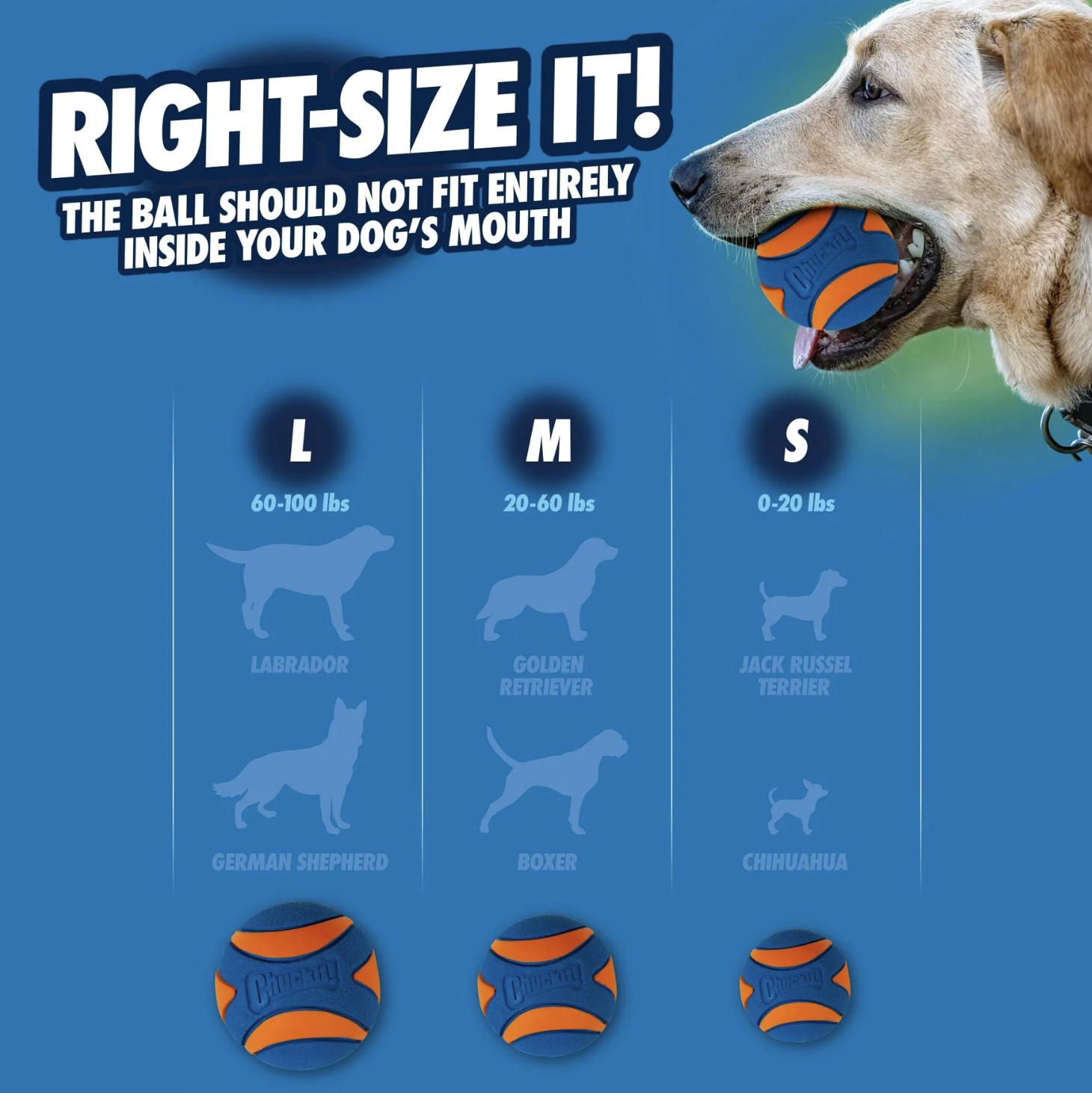 Screenshot 2026-03-03 at 2.03.17 PM.png