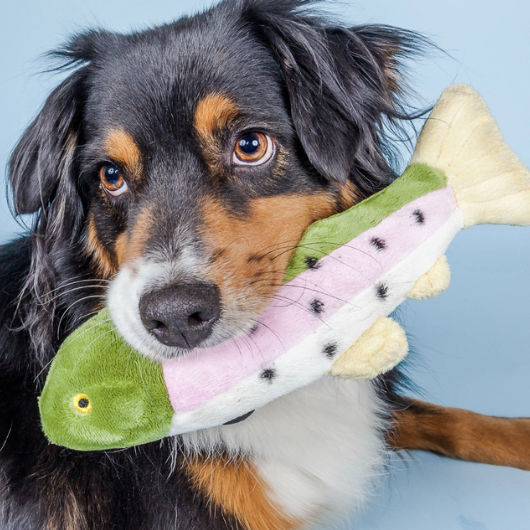 Screenshot 2026-03-02 at 3.22.57 PM.png