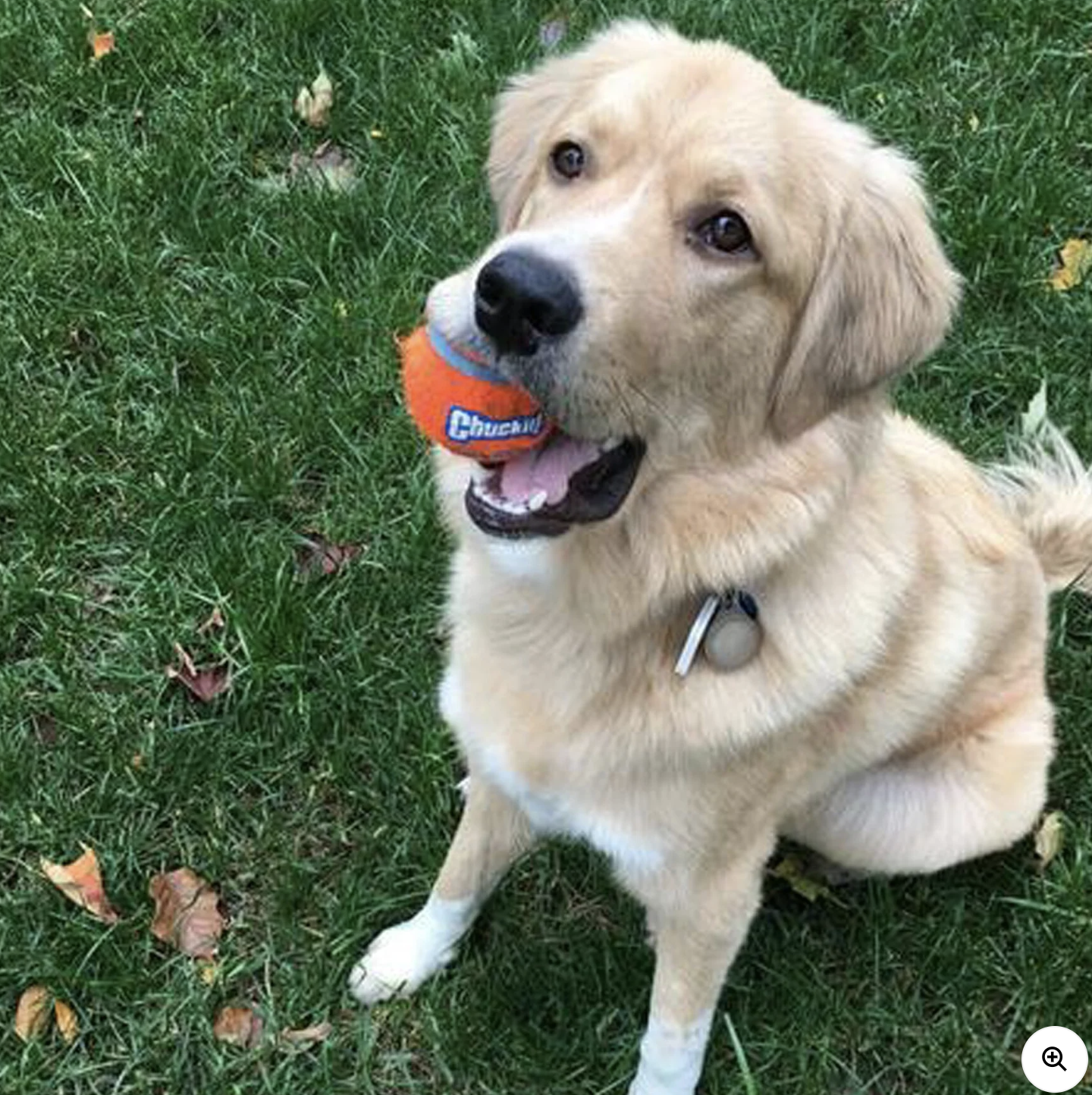 Screenshot 2026-03-03 at 2.09.18 PM.png