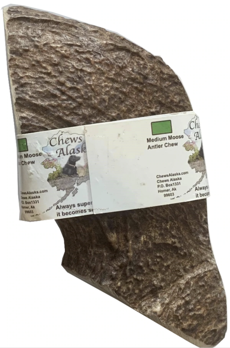 Screenshot 2026-03-02 at 1.57.13 PM.png