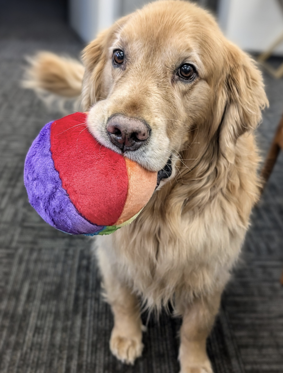 Screenshot 2026-03-02 at 2.39.03 PM.png