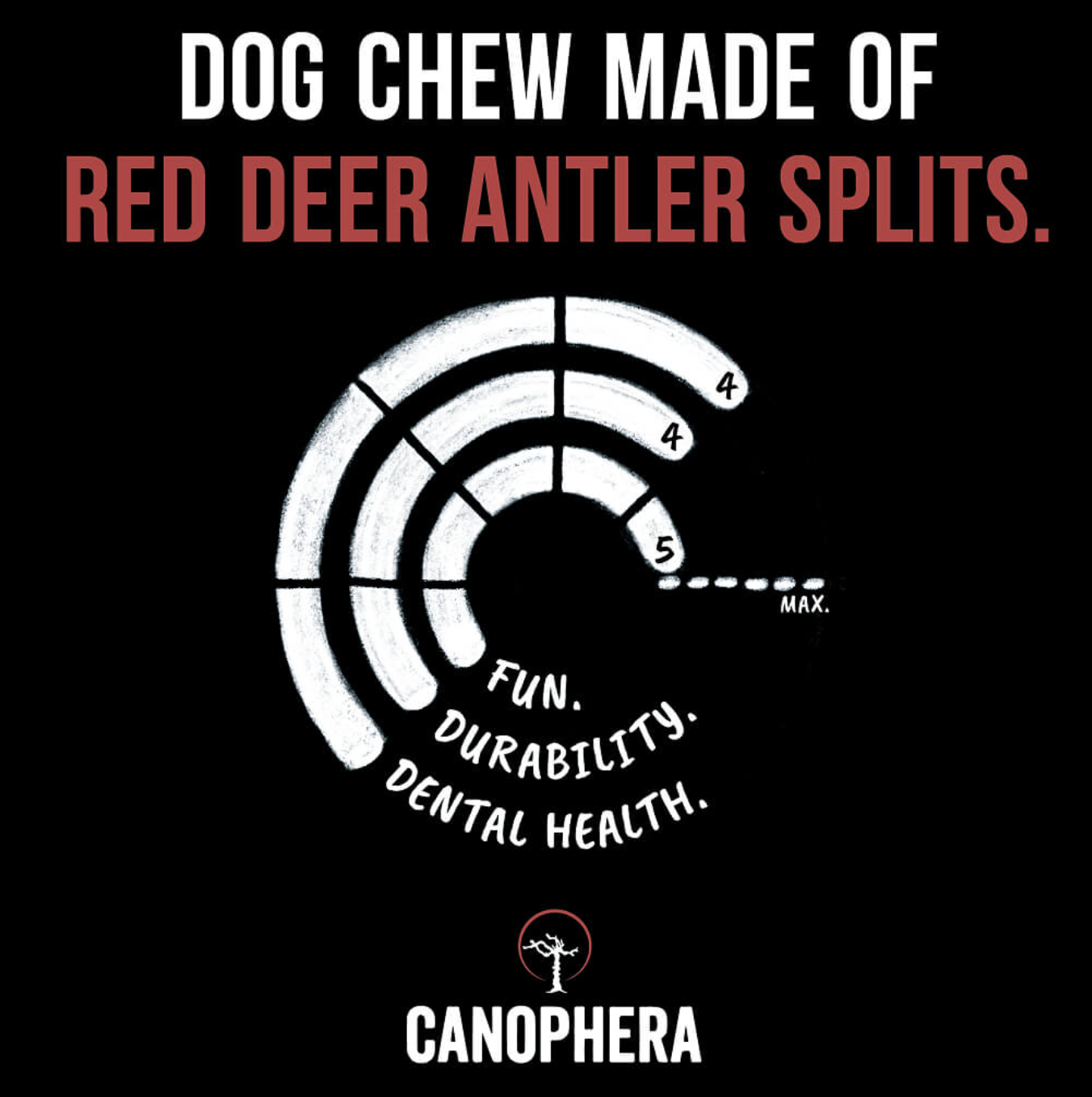 Screenshot 2026-03-03 at 3.49.26 PM.png