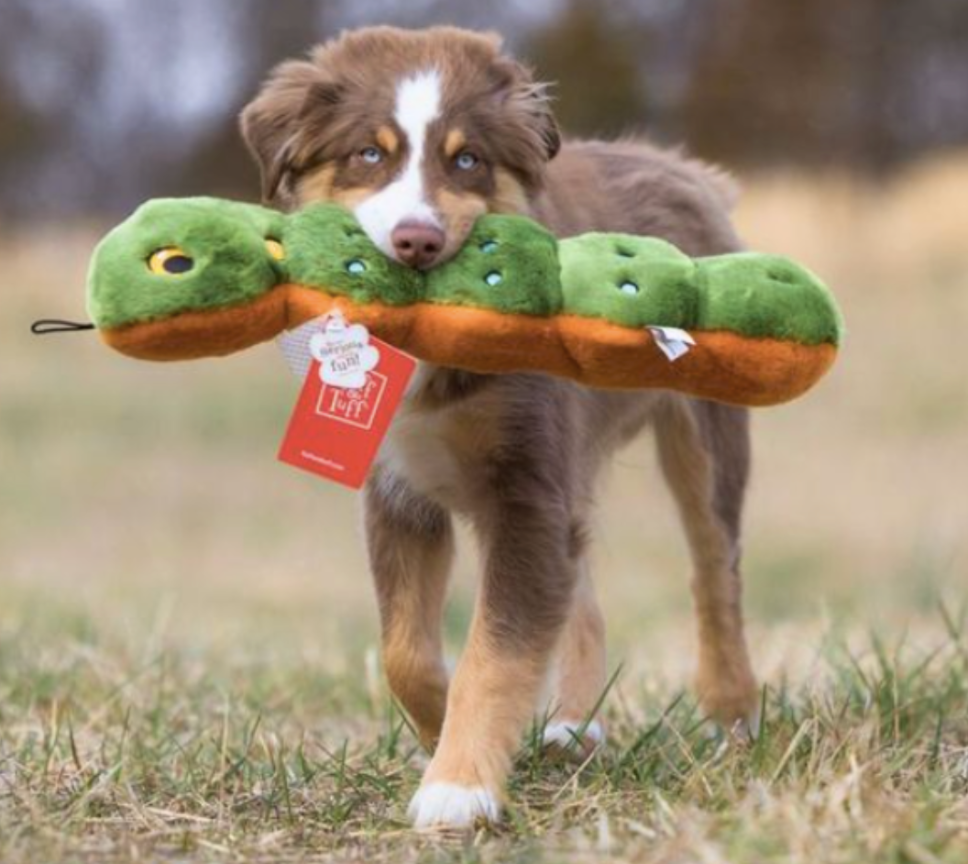 Screenshot 2026-03-02 at 2.46.57 PM.png